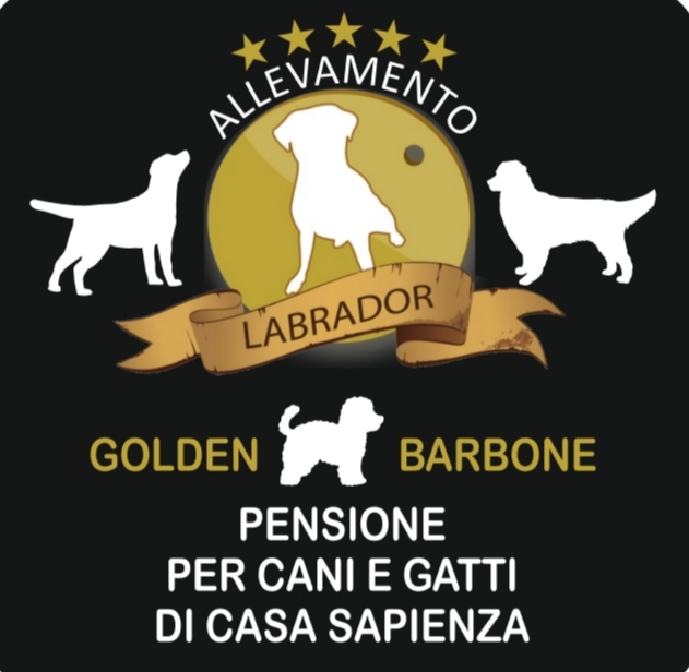 Labrador Basilicata