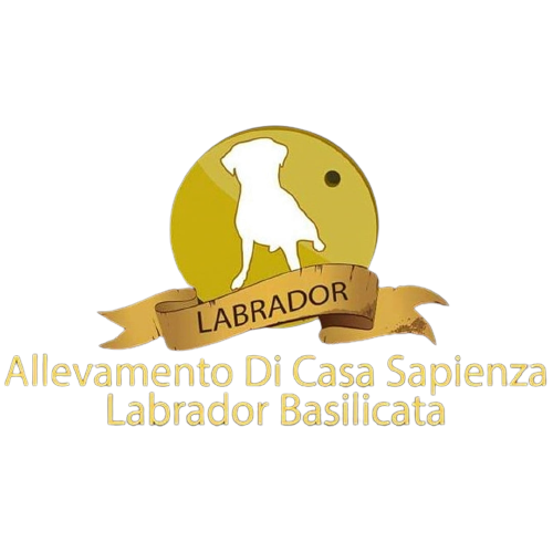 Labrador Basilicata
